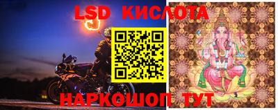 ALPHA PVP Канаш