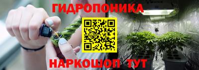 круглые Камышлов
