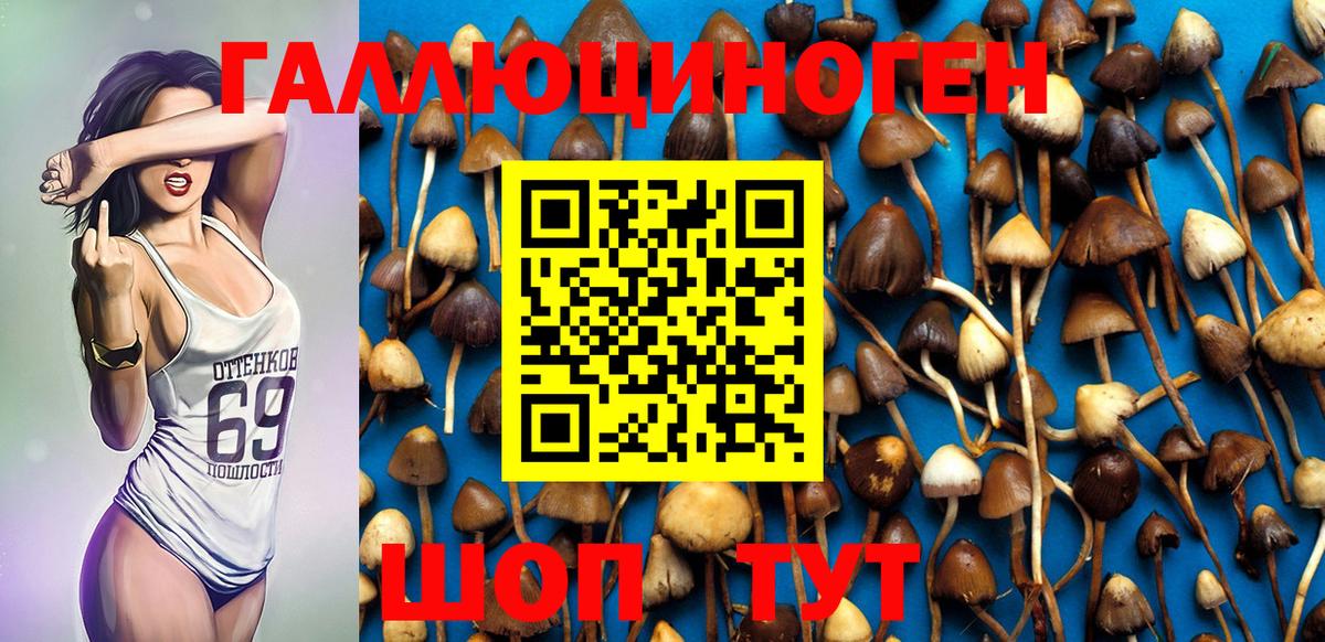 Галлюциногенные грибы Psilocybe  Вход с VPN  Галлюциногенные грибы GOLDEN TEACHER  Коммунар 