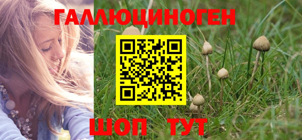 Псилоцибиновые грибы Cubensis Коммунар
